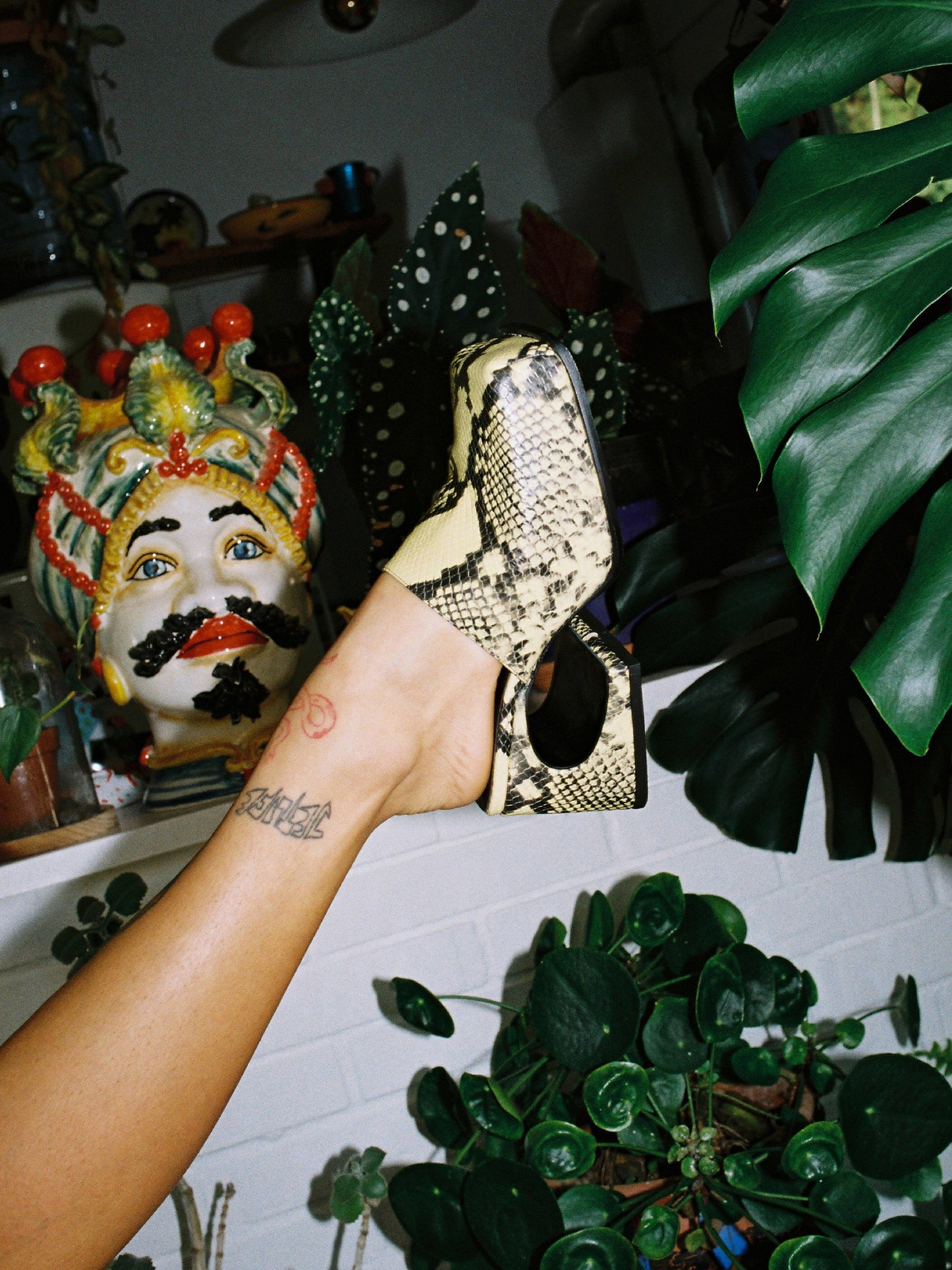 La Vanilla Snake Sassy Mule