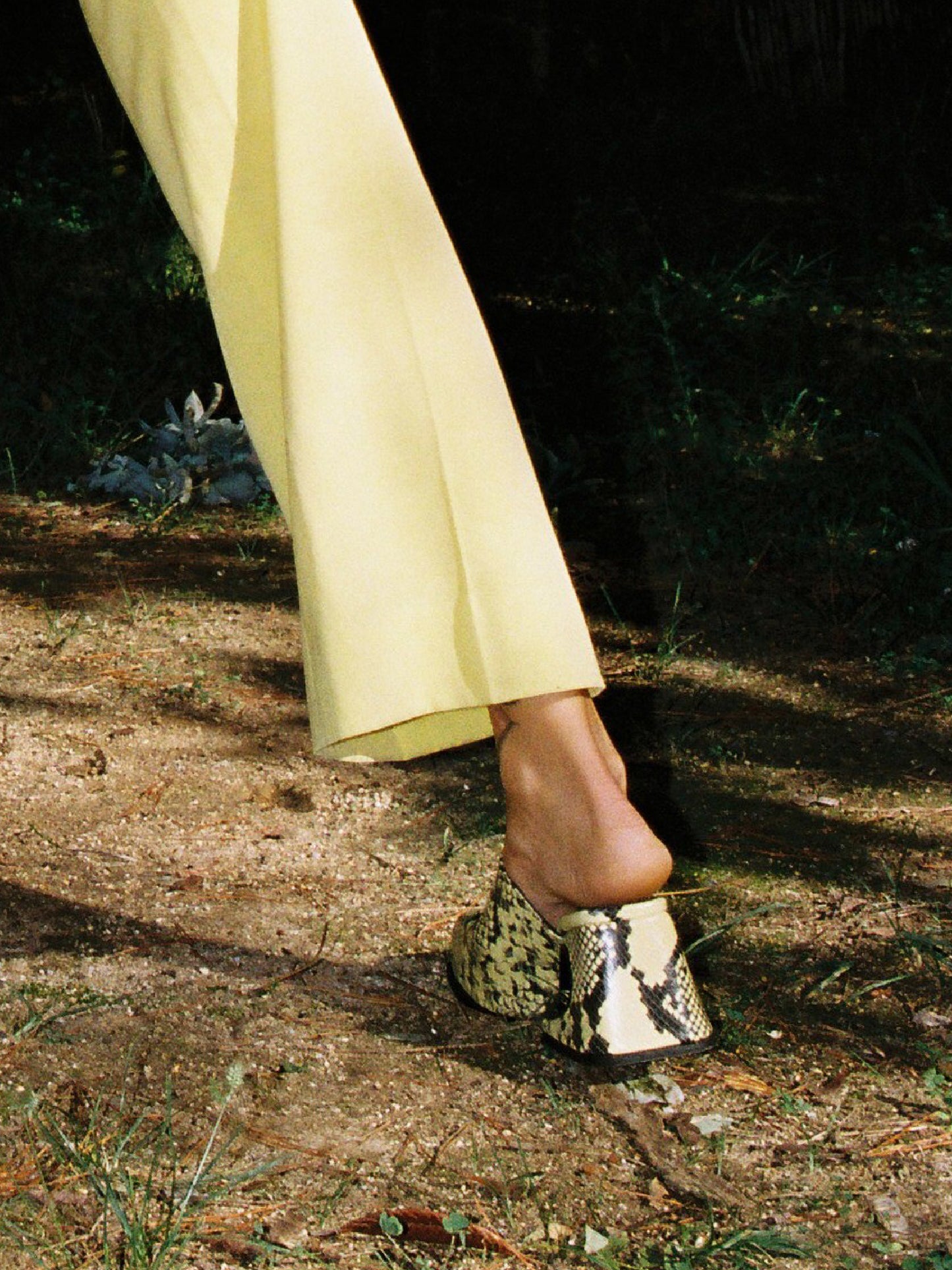 La Vanilla Snake Sassy Mule